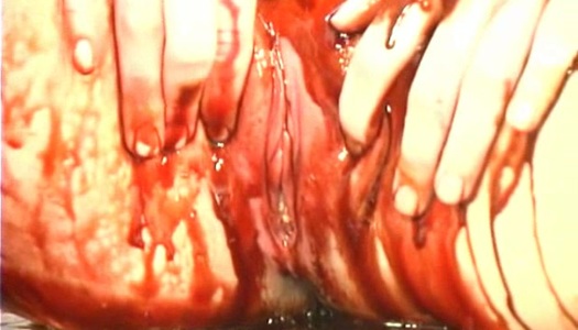 Taste the rainbow flavored pussy of gorgeous babe Ana porn pics