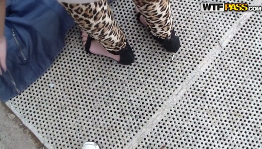 Hussy chick gives her boyfriend outdoor blowjob on a pov cam porn pics