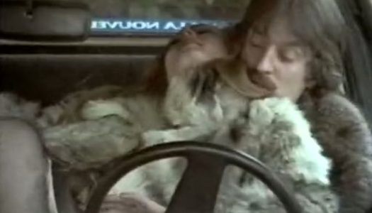 Naughty chick gives her lover a nice blowjob in the car porn pics