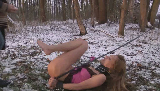 BDSM session of teen getting tied up and fucked on cold winter day porn pics