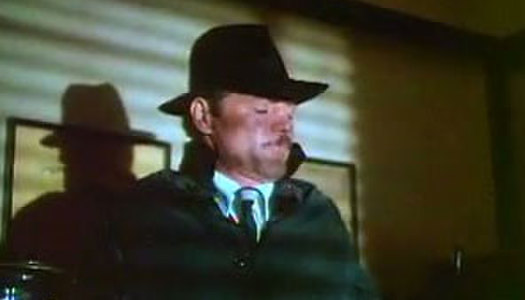 Intelligent looking blond whorish woman Dixie Ray showed harsh blowjob porn pics