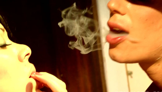 Two busty babes Sienna West and Puma Swede in action porn pics