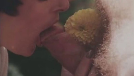 Ardent short haired brunette nympho is absorbed with sucking a dick porn pics