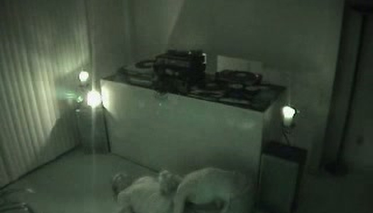 Hidden camera caught one kinky chick sucking cock after party porn pics