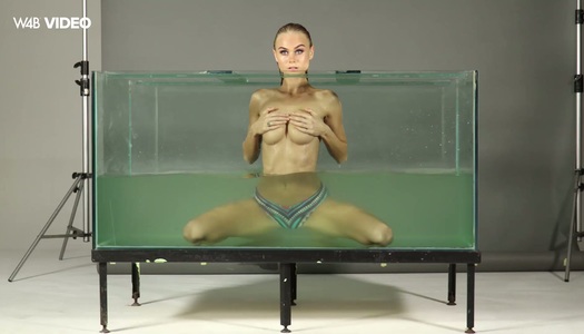 Slender beautiful babe Nancy is masturbating her pussy in aquarium porn pics