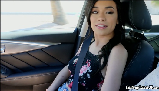 Driver picks up and fucks uninhibited brunette with small tits Savannah Sixx porn pics