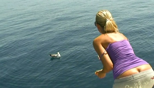 Obedient housewife Sandy takes a sun bath on the boat topless porn pics