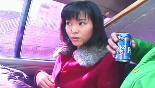 Aroused fucker mauls hairy pussy of Japanese slut Eri Minami in the car porn pics