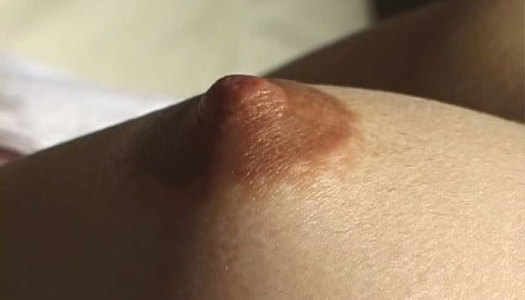 Hard brownish nipples of Japanese bimbo Mari Taichi get licked gently porn pics