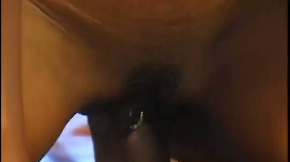 Hot black chick Adina Jewel gets her pierced pussy fucked nicely - 11. pic