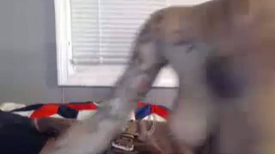 Tattooed curly slut sucking juicy cock in amateur sex video - 14. pic