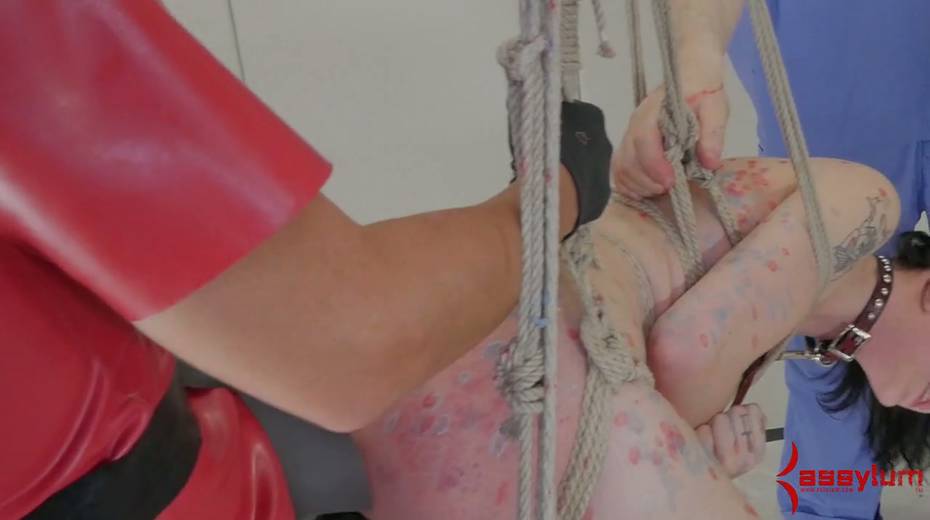 Horny mistress wearing strapon fucks tied up and suspended porn model - 12. pic