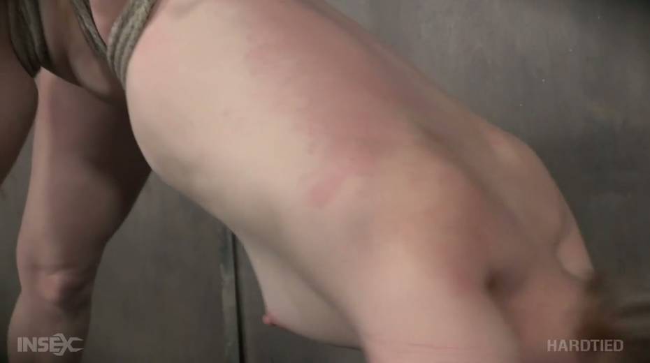 Kinky dude fucks twat of Anna Tyler with the help of stick - 12. pic