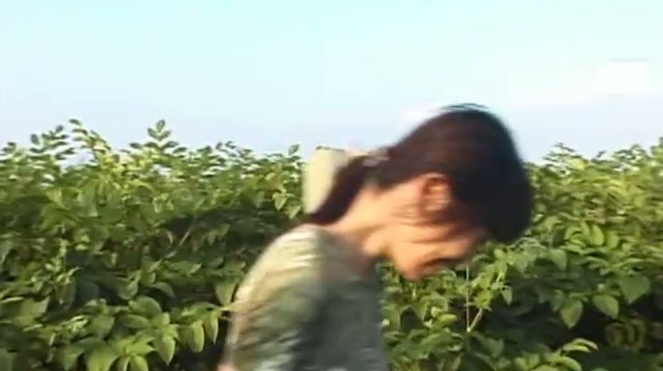 Skinny Japanese girl gets kinky with her BF right in the field by the road - 5. pic