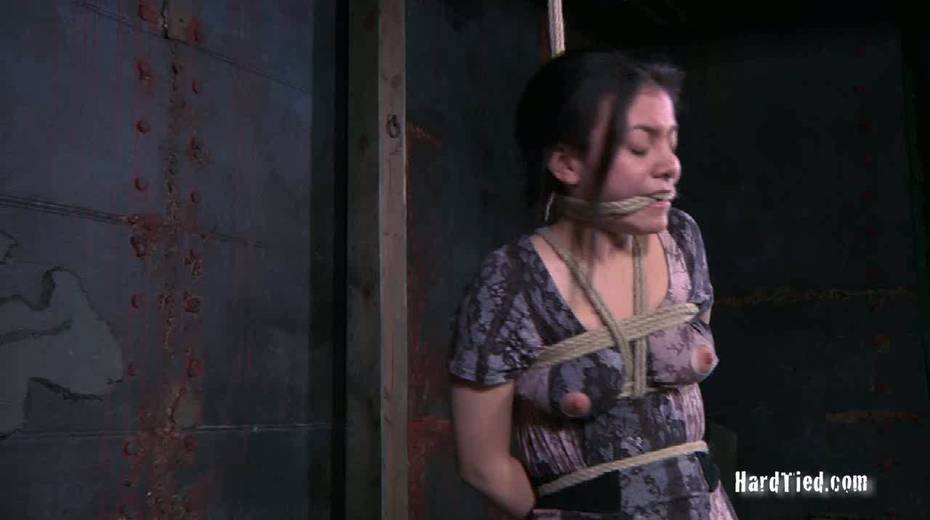 Sexy chick Lorna gets her nipples punished in the basement - 9. pic