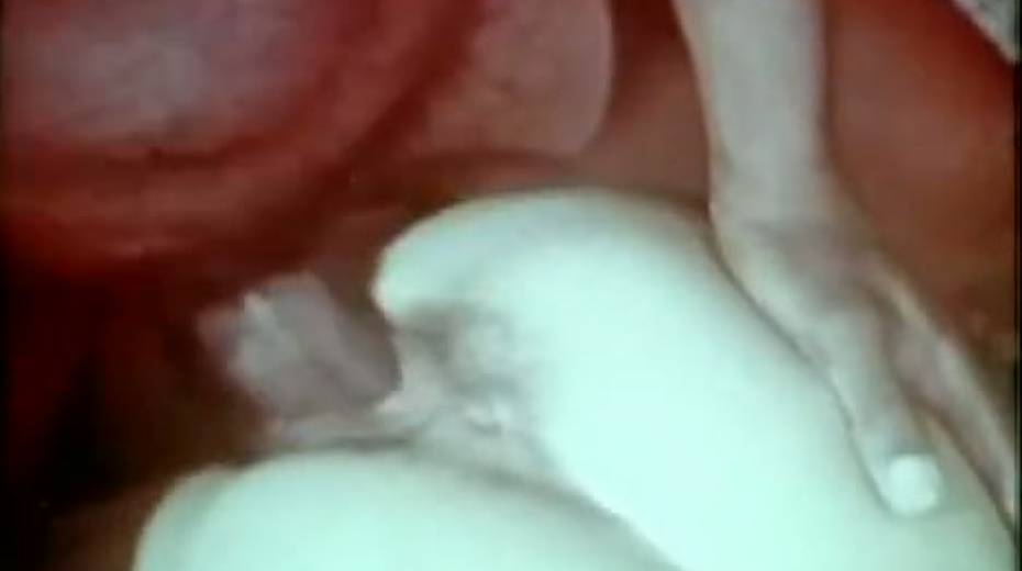 Her tight butthole got penetrated by her black friend - 4. pic