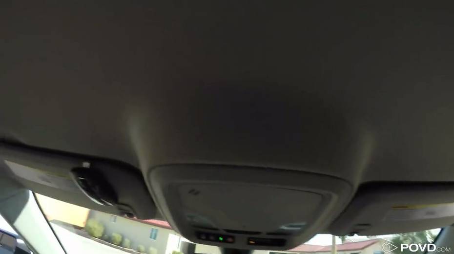 Blond wench Allie Nicole gives a blowjob in the car and gets her muff rammed - 3. pic