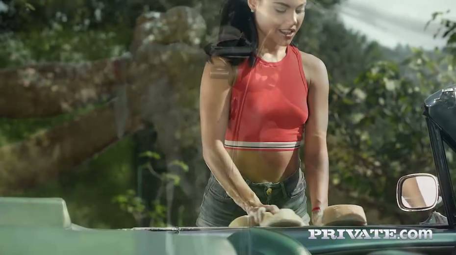Beautiful babe Apolonia is washing a car and having outdoor anal sex - 2. pic