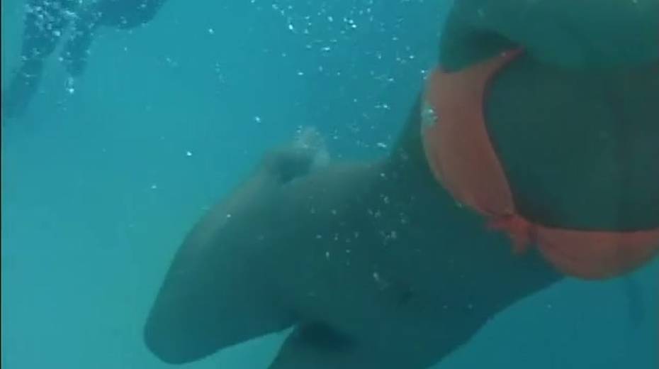 Frisky Japanese girls takes bikinis off right in a pool - 13. pic