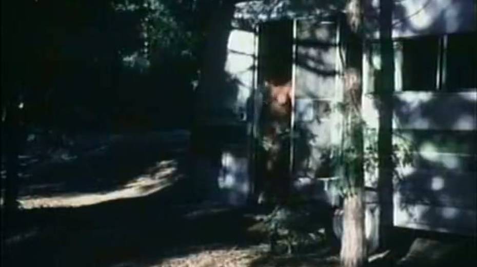 Michelle Bauer Anna Ventura Victoria Knoll arrange dirty threesome sex in the forest - 2. pic