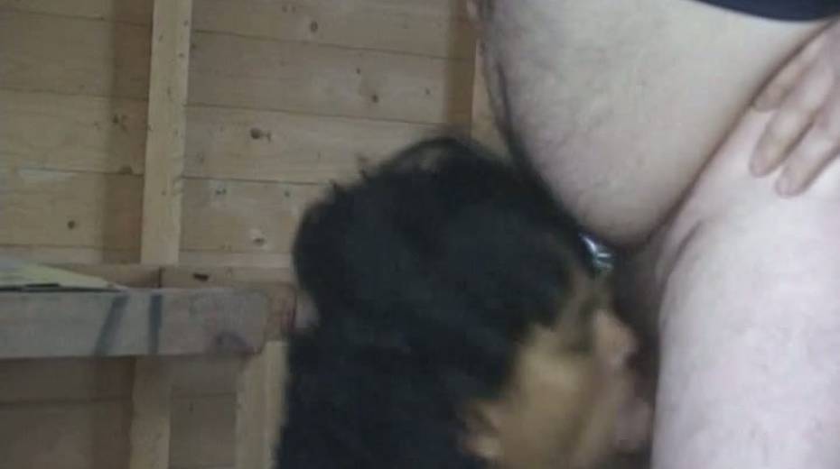 Cock loving whore Sheyla gives her client an amazing blowjob - 7. pic